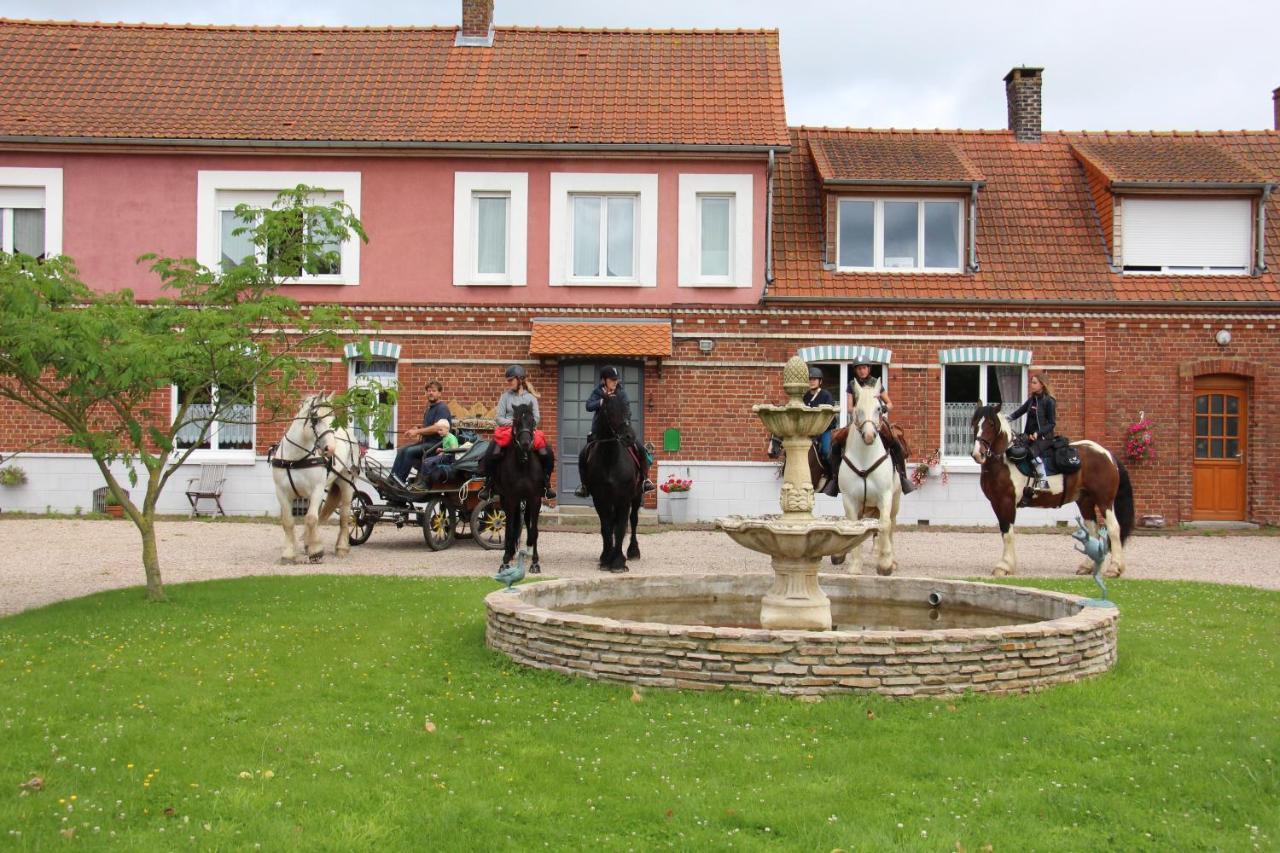 Ferme Du Pre Vert - Chambres D'Hotes B&B Nort-Leulinghem Екстер'єр фото